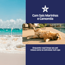 Combo Agua Clorada Perfumada PetSafe 2L Compre 3 leve 1